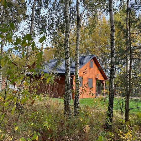 Domek Letniskowy Pod Brzozami Na Roztoczu Wsrod Lasow, Zamosc, Krasnobrod, Zwierzyniec Adamow  Buitenkant foto
