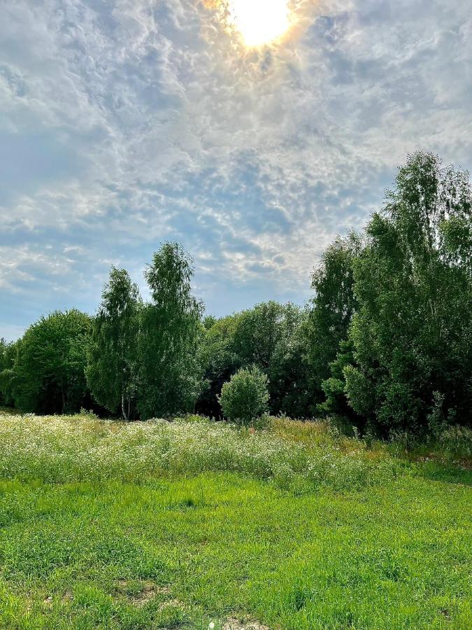 Domek Letniskowy Pod Brzozami Na Roztoczu Wsrod Lasow, Zamosc, Krasnobrod, Zwierzyniec Adamow  Buitenkant foto