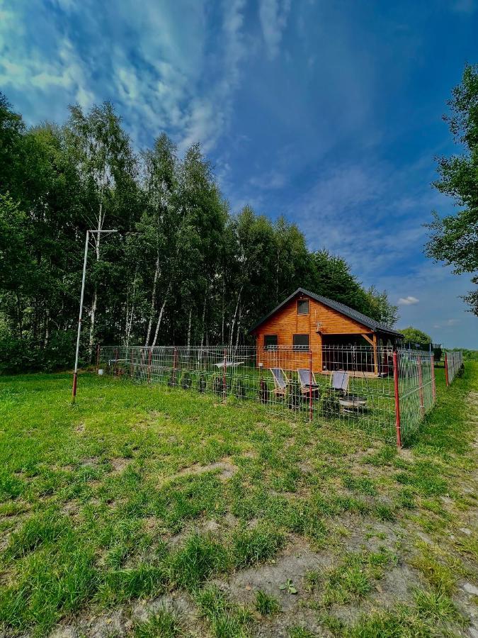 Domek Letniskowy Pod Brzozami Na Roztoczu Wsrod Lasow, Zamosc, Krasnobrod, Zwierzyniec Adamow  Buitenkant foto