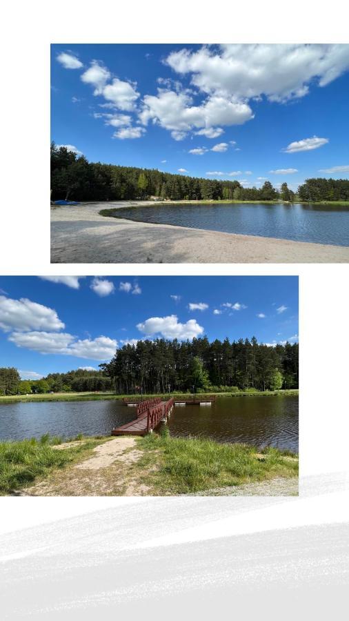 Domek Letniskowy Pod Brzozami Na Roztoczu Wsrod Lasow, Zamosc, Krasnobrod, Zwierzyniec Adamow  Buitenkant foto