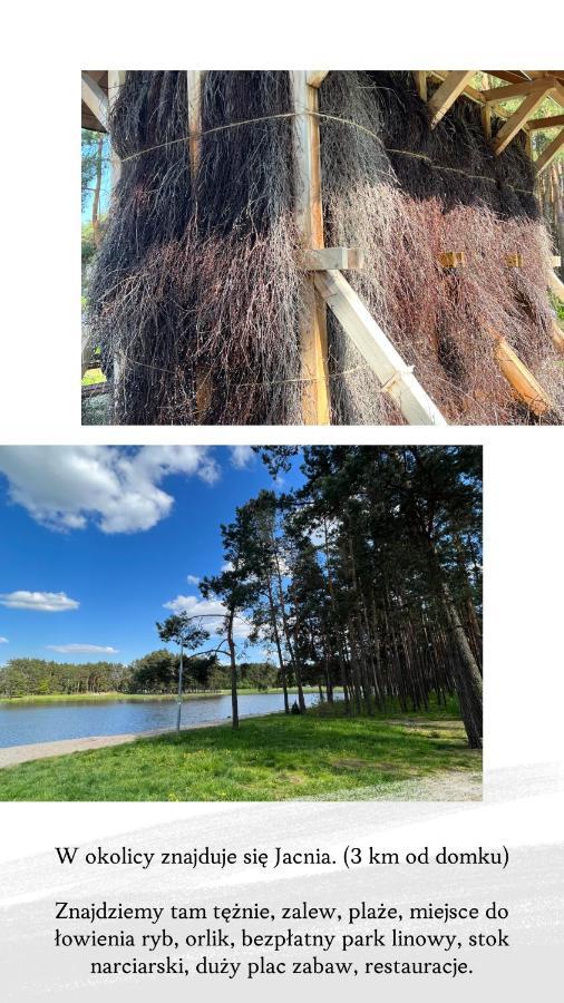 Domek Letniskowy Pod Brzozami Na Roztoczu Wsrod Lasow, Zamosc, Krasnobrod, Zwierzyniec Adamow  Buitenkant foto