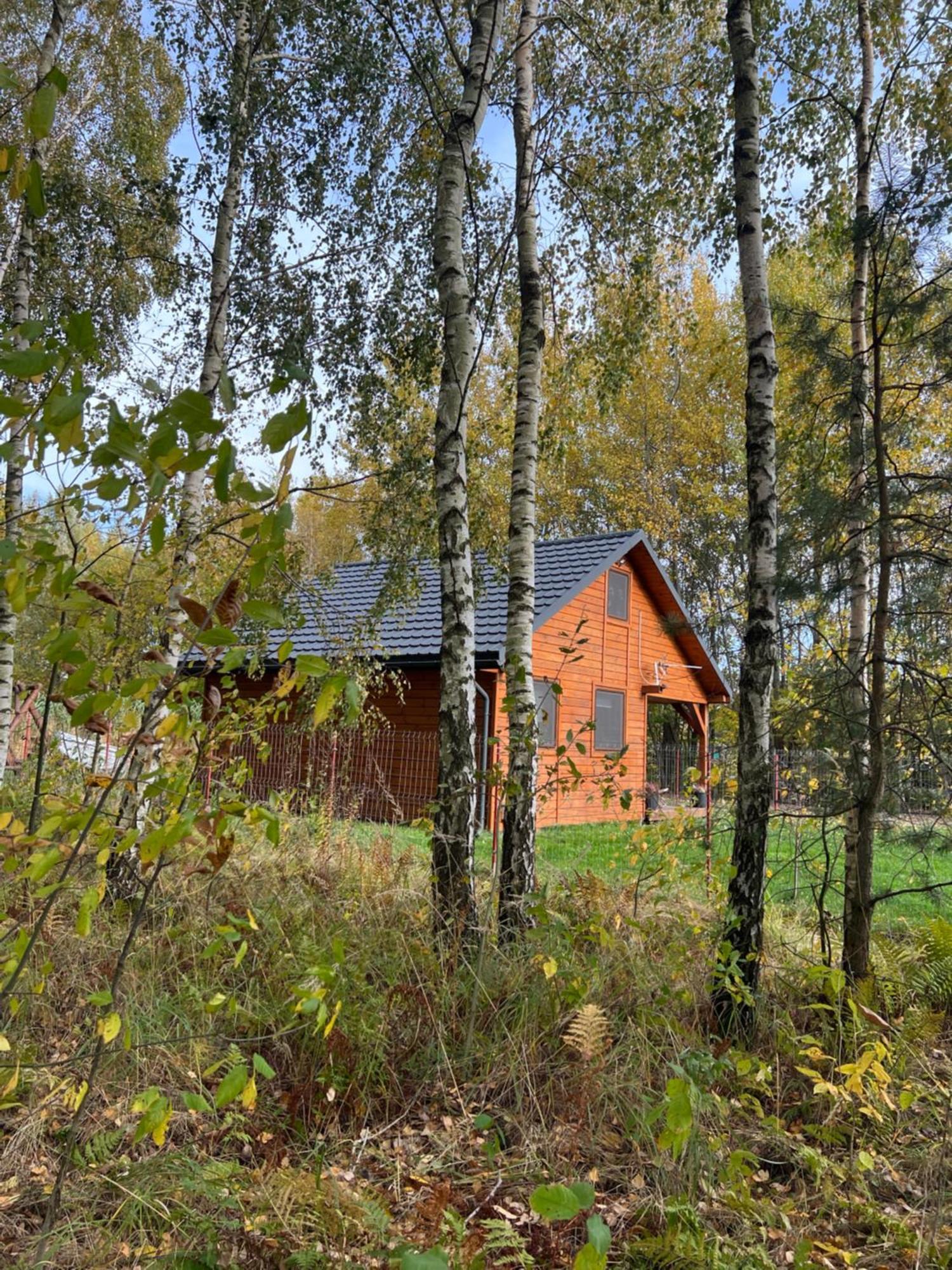 Domek Letniskowy Pod Brzozami Na Roztoczu Wsrod Lasow, Zamosc, Krasnobrod, Zwierzyniec Adamow  Buitenkant foto